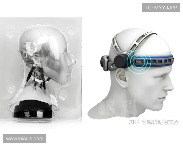 体育脑机接口技术进入实验阶段，人机协同训练或成现实